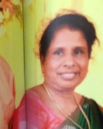 സാലി യോഹന്നാൻ